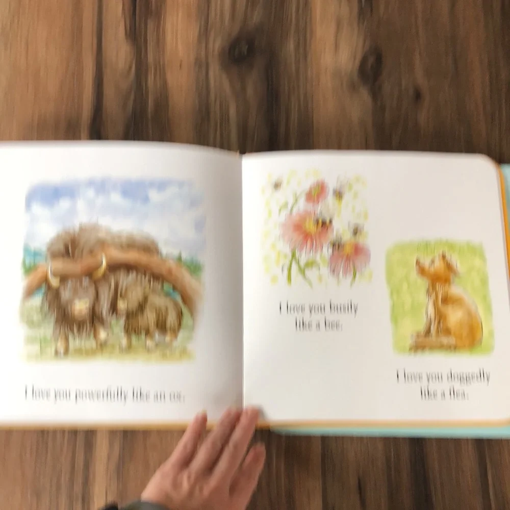 Lot of 2 Usborne / Kane Miller Hardcover Books